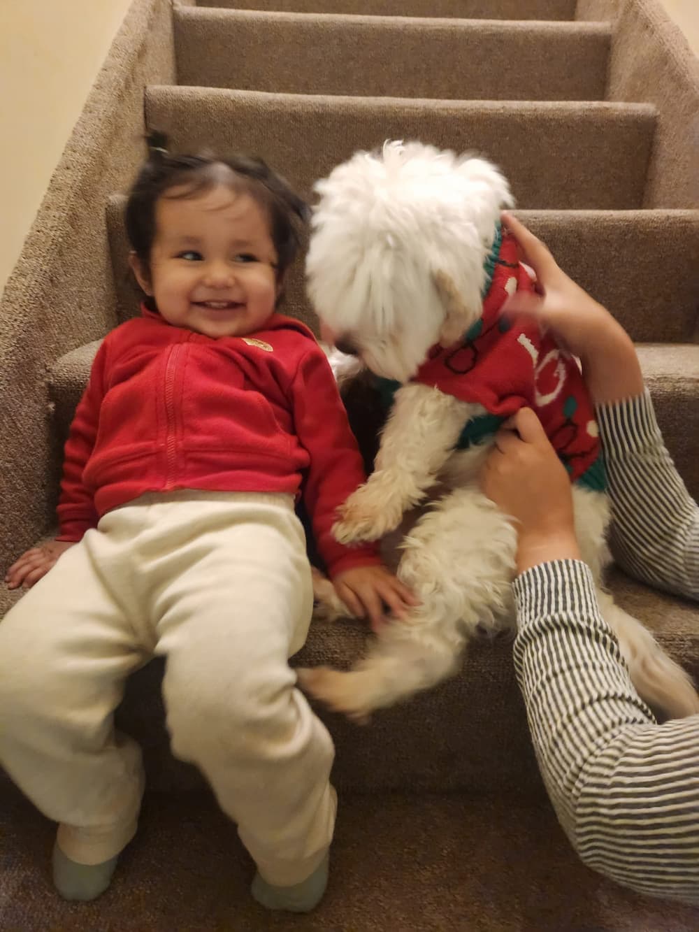 WhatsApp Image 2025-02-07 at 5.56.43 PM WhatsApp Image 2025-02-07 at 5.56.43 PM